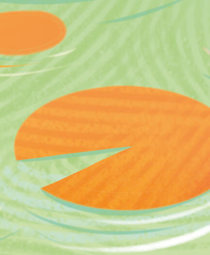 Elf z choinki - pięknie zilustrowana książka dla dzieci, której autorem jest autorka książek Gaja Gajówki i Misiu, wróć, Anna Włodarkiewicz, wydana przez Wydawnictwo Świetlik. Ilustracje do tej magicznej świątecznej opowieści stworzyła Silvia Pizzati.