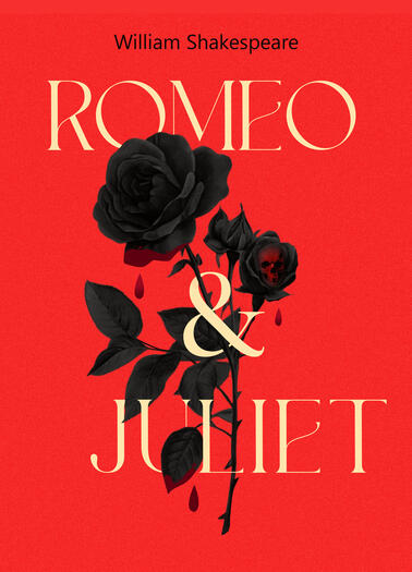 ilustrator - Silvia Pizzati, wydawnictwo Gribaudo, wydawca Feltrinelli editore, książki dla dzieci, zbiór historii , historie o baletnicach, baletnica, bajka o baletnicy